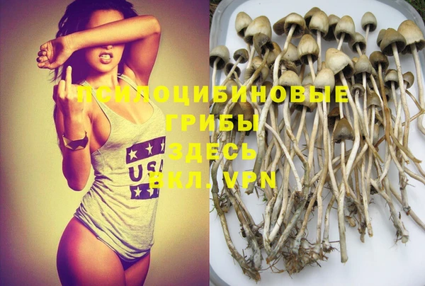 прущая мука Алзамай