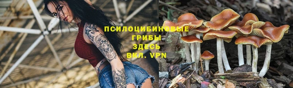 мефедрон Алексеевка