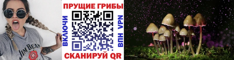 Псилоцибиновые грибы Magic Shrooms  Купить закладки  Кстово 